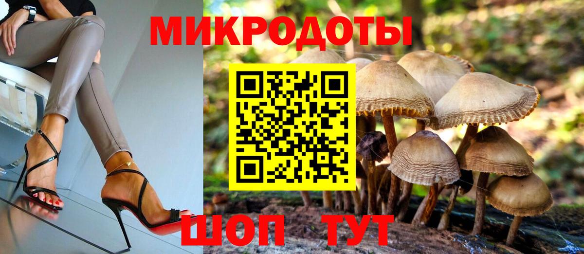 Старая Купавна  Галлюциногенные грибы мицелий  Вход с VPN  что такое наркотик  Галлюциногенные грибы GOLDEN TEACHER 